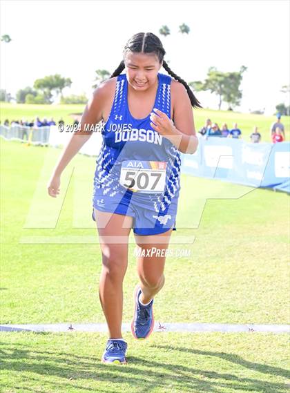 Thumbnail 3 in AIA Division I Championships photogallery.