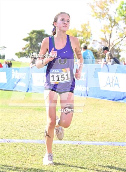 Thumbnail 2 in AIA Division I Championships photogallery.