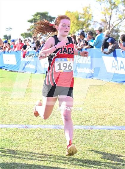 Thumbnail 1 in AIA Division I Championships photogallery.