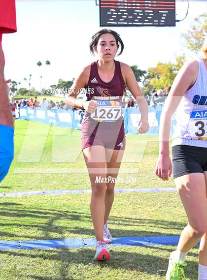 Thumbnail 2 in AIA Division I Championships photogallery.