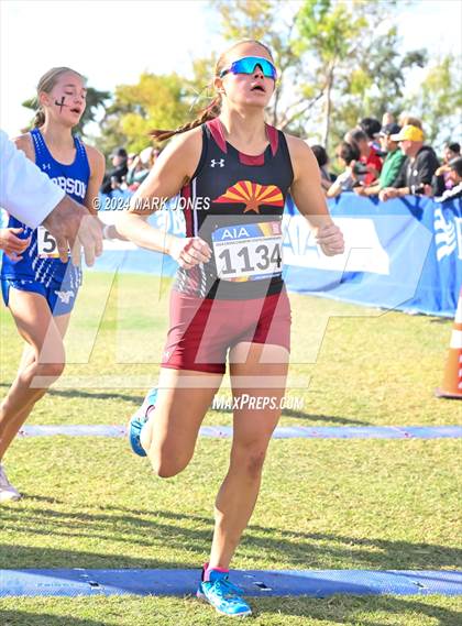 Thumbnail 2 in AIA Division I Championships photogallery.