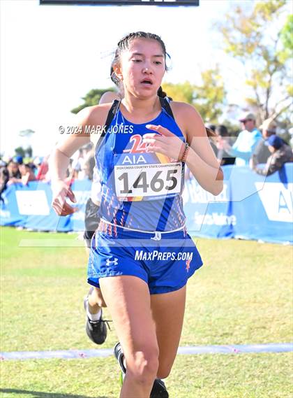 Thumbnail 1 in AIA Division I Championships photogallery.