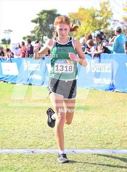 Thumbnail 1 in AIA Division I Championships photogallery.