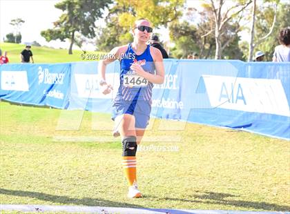 Thumbnail 3 in AIA Division I Championships photogallery.