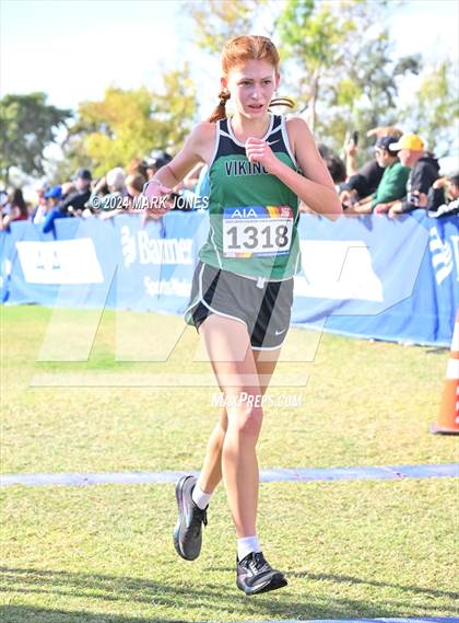 Thumbnail 3 in AIA Division I Championships photogallery.