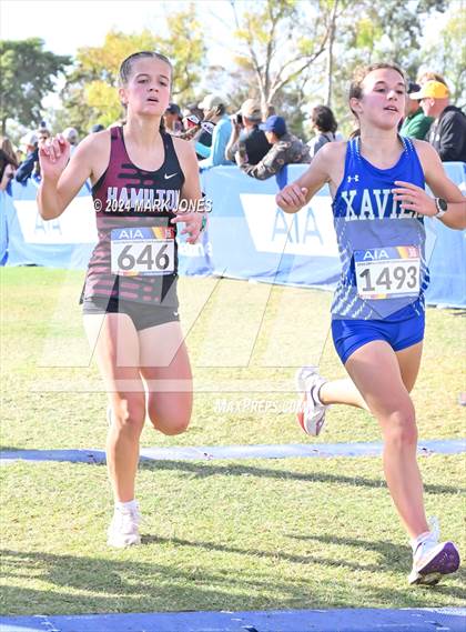 Thumbnail 1 in AIA Division I Championships photogallery.