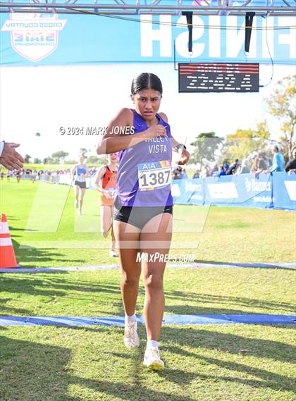 Thumbnail 3 in AIA Division I Championships photogallery.