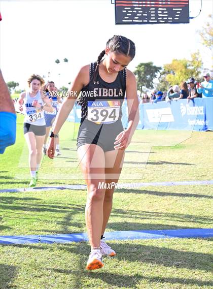 Thumbnail 1 in AIA Division I Championships photogallery.