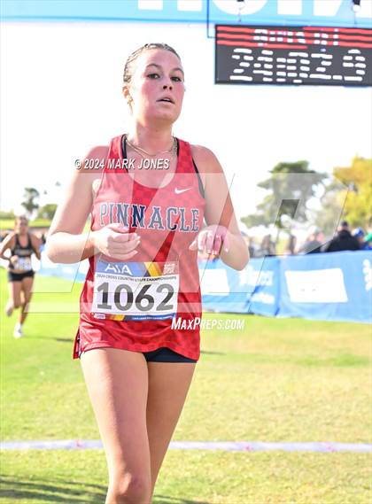 Thumbnail 3 in AIA Division I Championships photogallery.