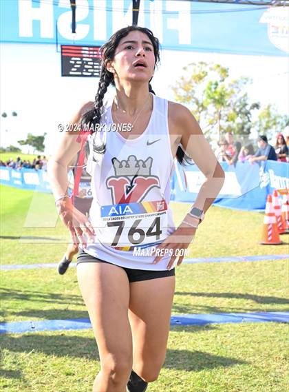 Thumbnail 1 in AIA Division I Championships photogallery.