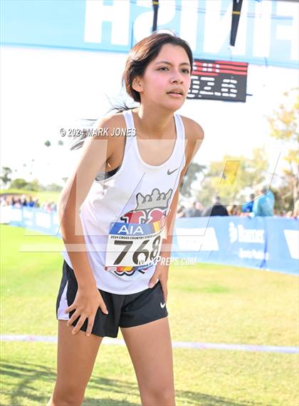 Thumbnail 1 in AIA Division I Championships photogallery.