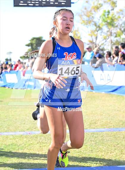 Thumbnail 2 in AIA Division I Championships photogallery.