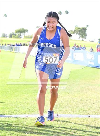 Thumbnail 2 in AIA Division I Championships photogallery.
