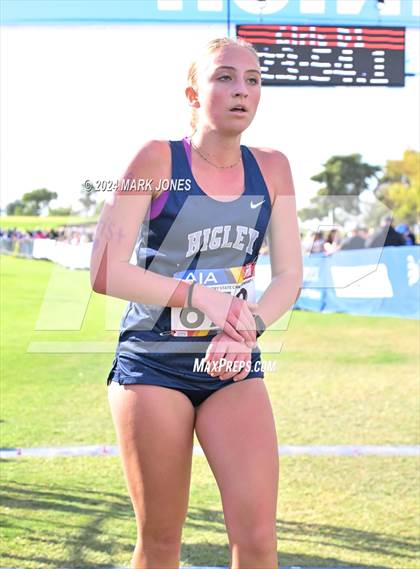 Thumbnail 1 in AIA Division I Championships photogallery.