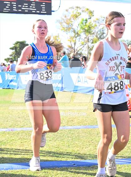 Thumbnail 2 in AIA Division I Championships photogallery.