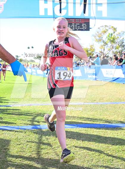 Thumbnail 3 in AIA Division I Championships photogallery.
