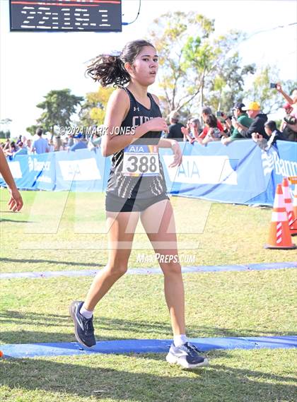 Thumbnail 2 in AIA Division I Championships photogallery.