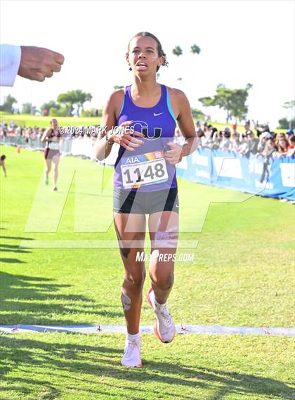 Thumbnail 2 in AIA Division I Championships photogallery.