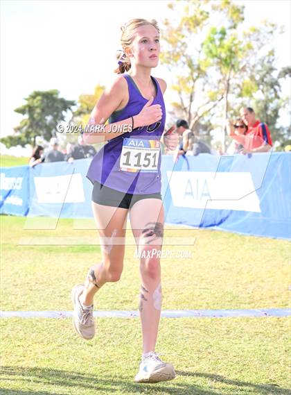 Thumbnail 3 in AIA Division I Championships photogallery.