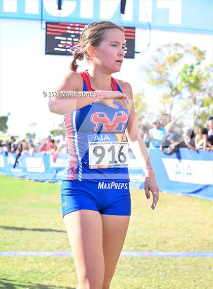 Thumbnail 1 in AIA Division I Championships photogallery.