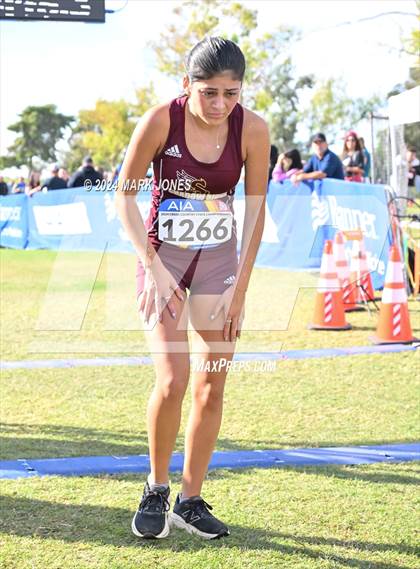 Thumbnail 2 in AIA Division I Championships photogallery.