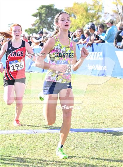 Thumbnail 2 in AIA Division I Championships photogallery.