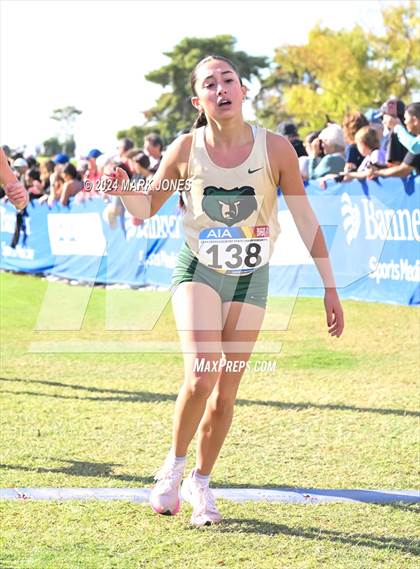 Thumbnail 3 in AIA Division I Championships photogallery.