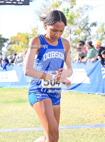 Thumbnail 1 in AIA Division I Championships photogallery.