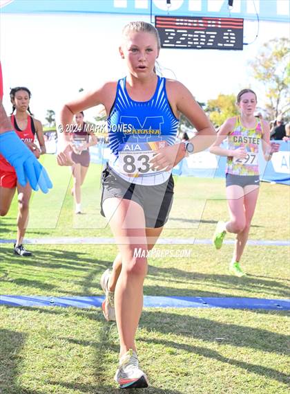 Thumbnail 3 in AIA Division I Championships photogallery.