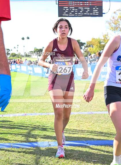 Thumbnail 3 in AIA Division I Championships photogallery.