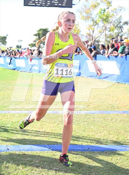 Thumbnail 3 in AIA Division I Championships photogallery.