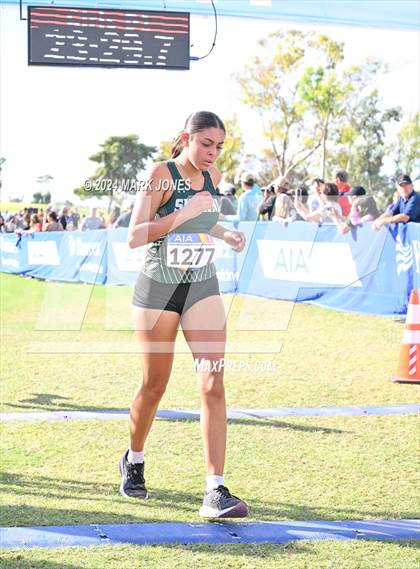 Thumbnail 1 in AIA Division I Championships photogallery.