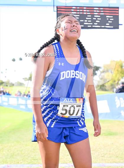 Thumbnail 3 in AIA Division I Championships photogallery.