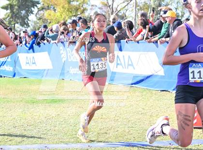 Thumbnail 1 in AIA Division I Championships photogallery.