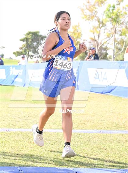 Thumbnail 3 in AIA Division I Championships photogallery.