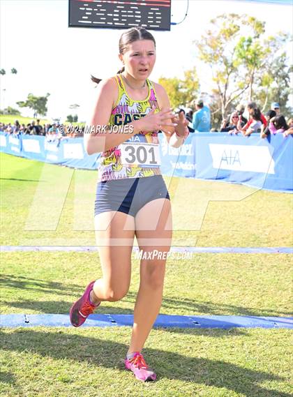 Thumbnail 1 in AIA Division I Championships photogallery.