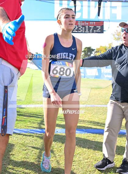 Thumbnail 2 in AIA Division I Championships photogallery.