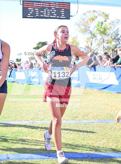 Thumbnail 2 in AIA Division I Championships photogallery.