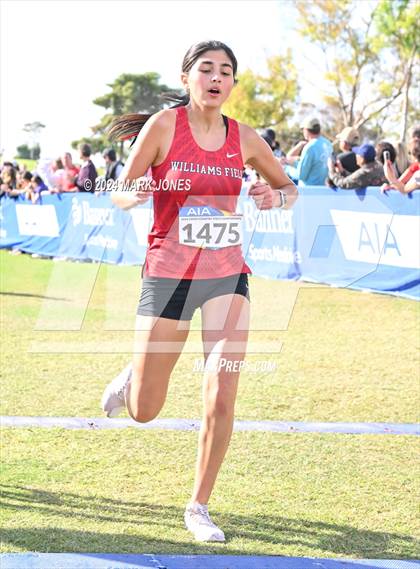Thumbnail 2 in AIA Division I Championships photogallery.