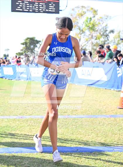 Thumbnail 3 in AIA Division I Championships photogallery.
