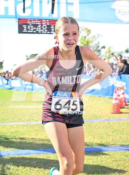 Thumbnail 1 in AIA Division I Championships photogallery.