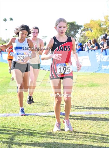 Thumbnail 1 in AIA Division I Championships photogallery.