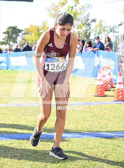 Thumbnail 1 in AIA Division I Championships photogallery.