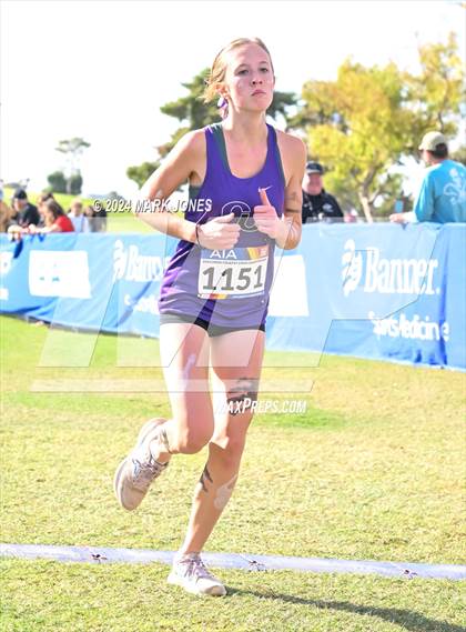 Thumbnail 3 in AIA Division I Championships photogallery.