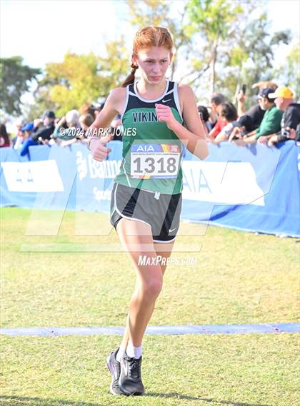 Thumbnail 2 in AIA Division I Championships photogallery.