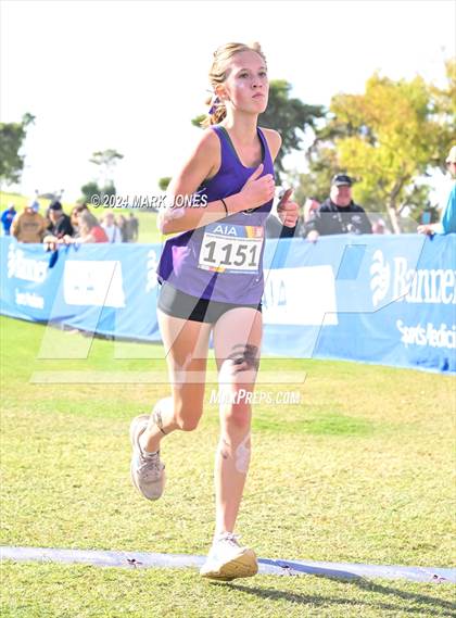 Thumbnail 2 in AIA Division I Championships photogallery.