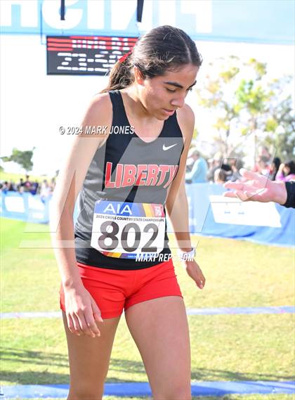Thumbnail 1 in AIA Division I Championships photogallery.