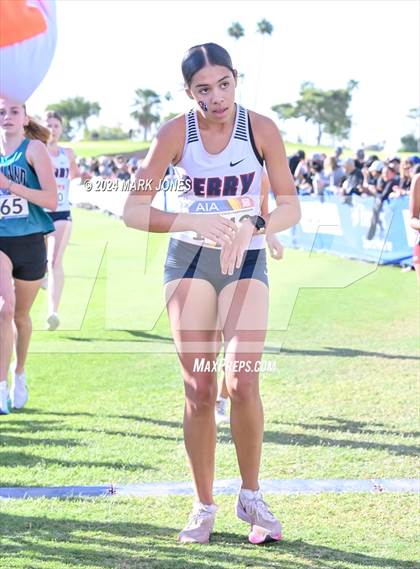 Thumbnail 1 in AIA Division I Championships photogallery.