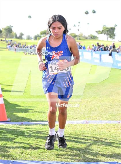 Thumbnail 2 in AIA Division I Championships photogallery.