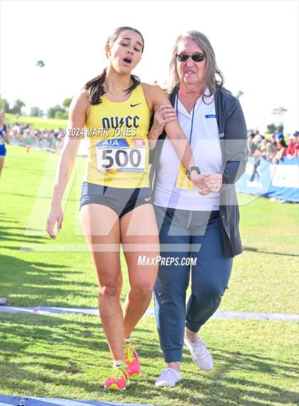 Thumbnail 2 in AIA Division I Championships photogallery.